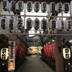飛不動尊