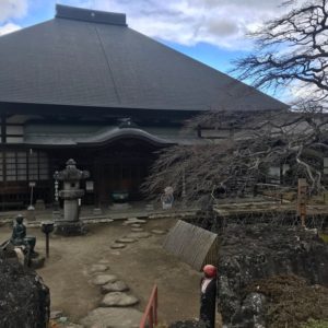 西善寺とコミネカエデ
