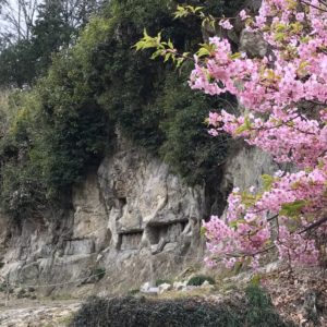 岩殿観音正法寺